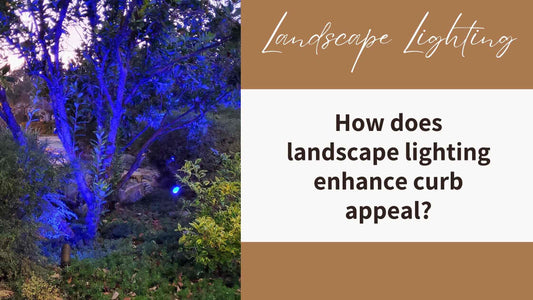 landscape lighting enhance curb appeal