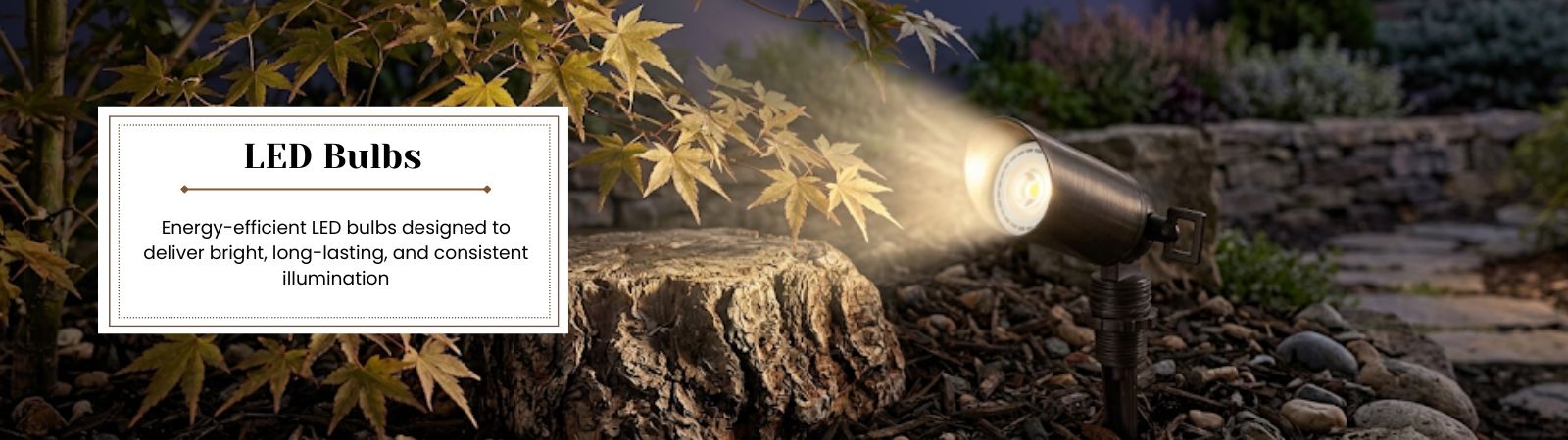 LED Bulbs