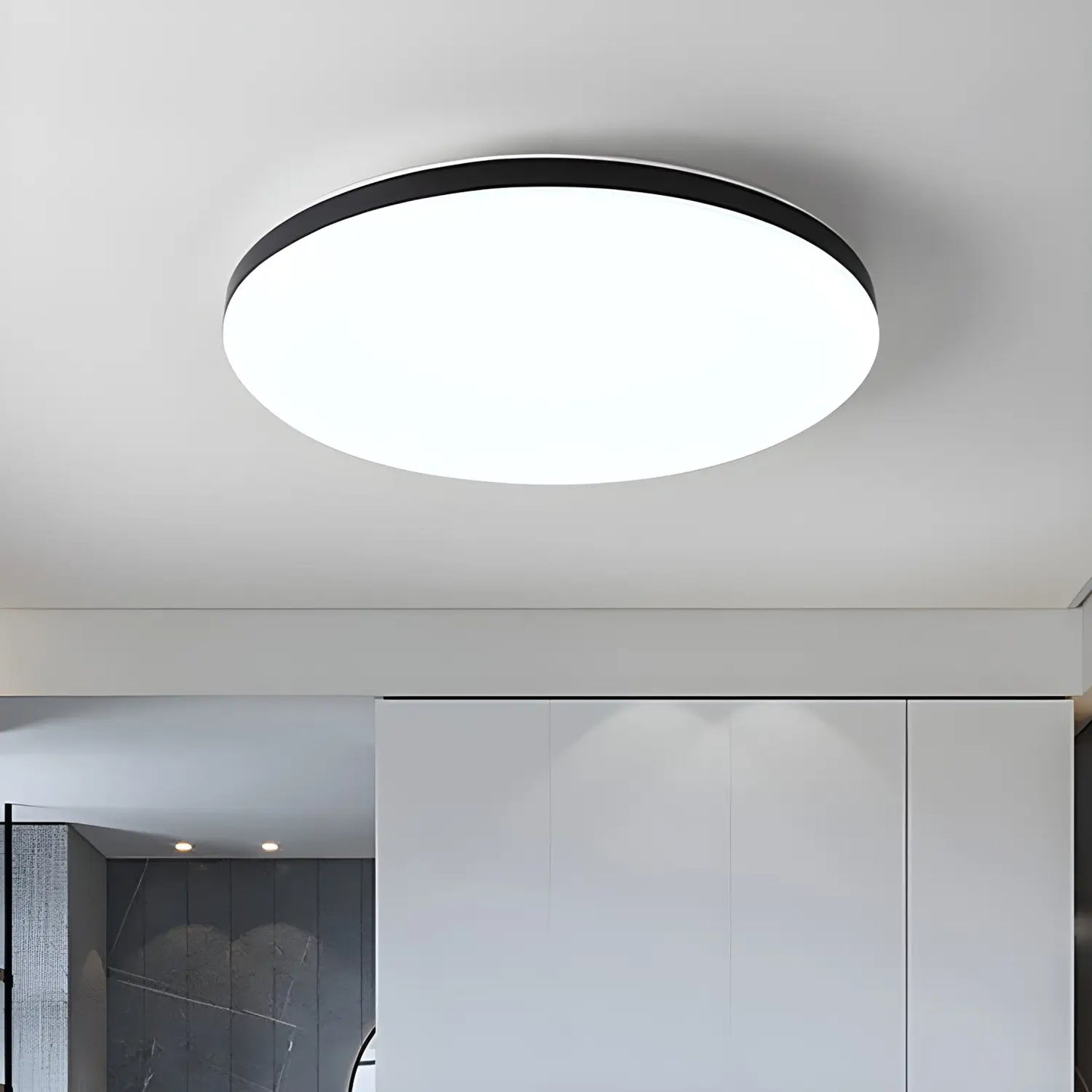LED Ceiling Light 220V Waterproof & Dustproof - 18W Diameter 230mm Black / Warm Light - Ceiling Light