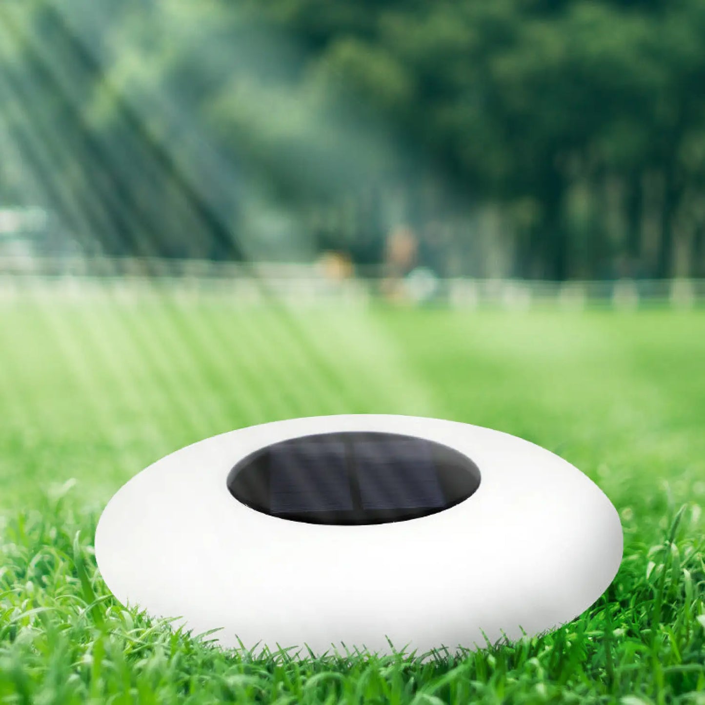 LED Solar Outdoor Waterproof Lights - Solar Light