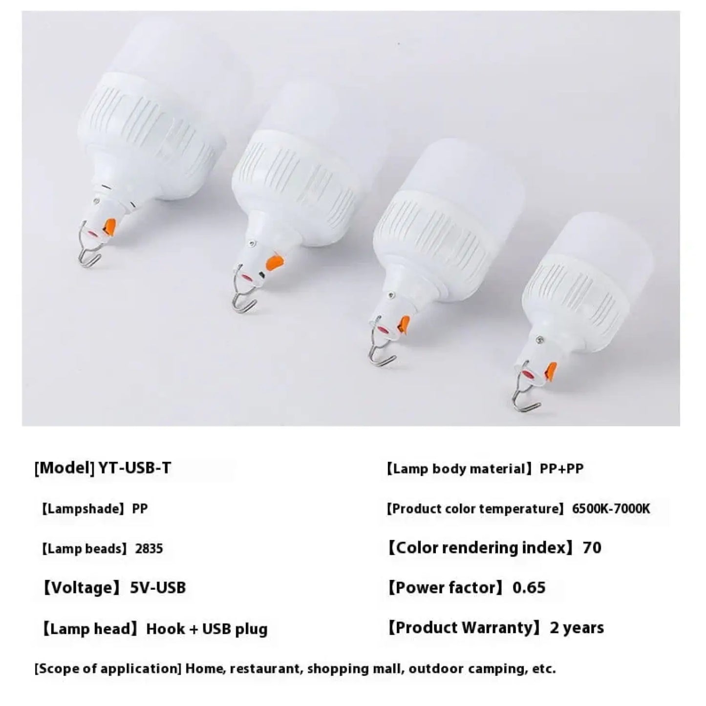 Rechargeable LED Light Bulb Lights with Portable Battery Power 12V Hanging Light