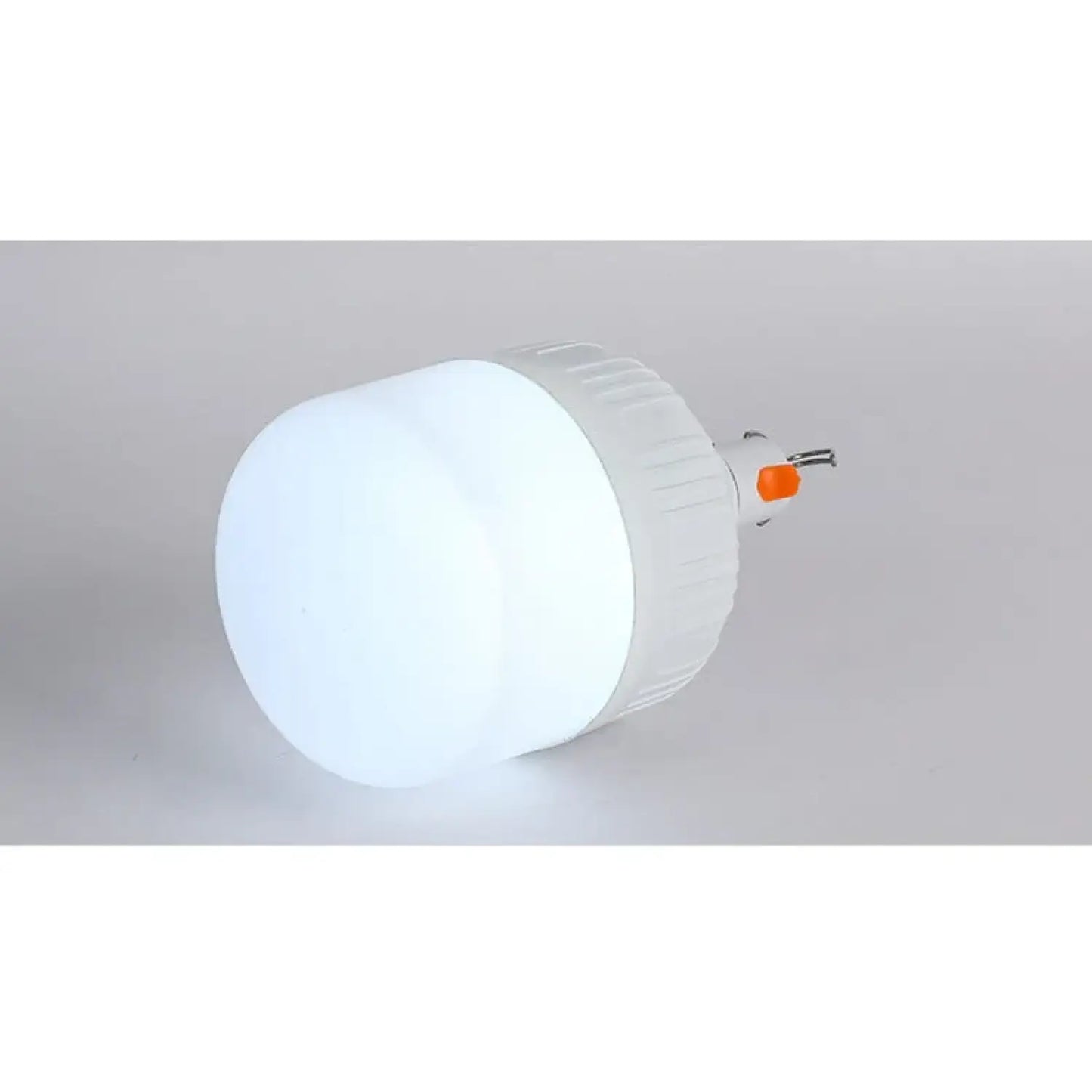 Rechargeable LED Light Bulb Lights with Portable Battery Power 12V Hanging Light