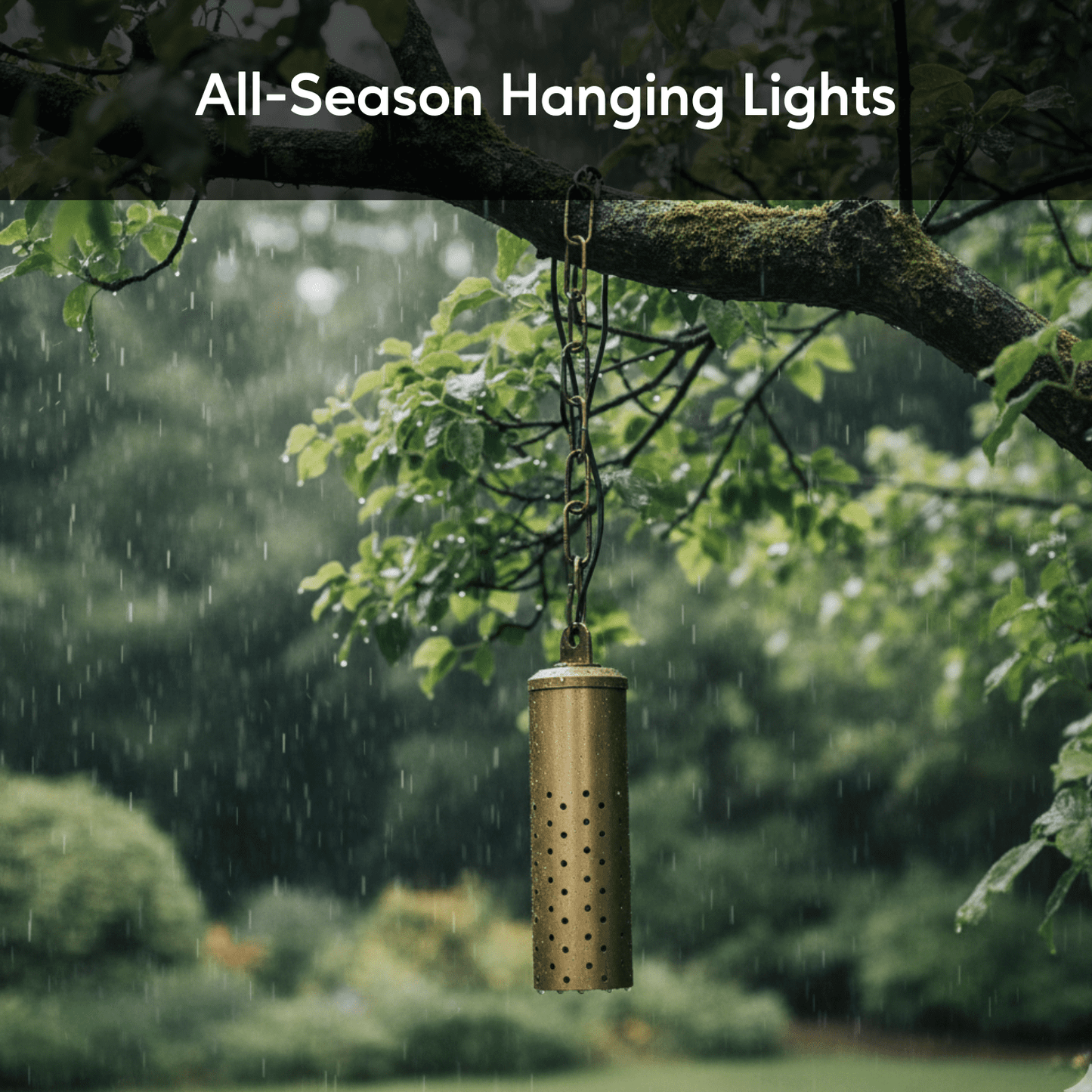 Starlight Outdoor Modern Hanging Light Fixtures - No Bulb - Light Fixture