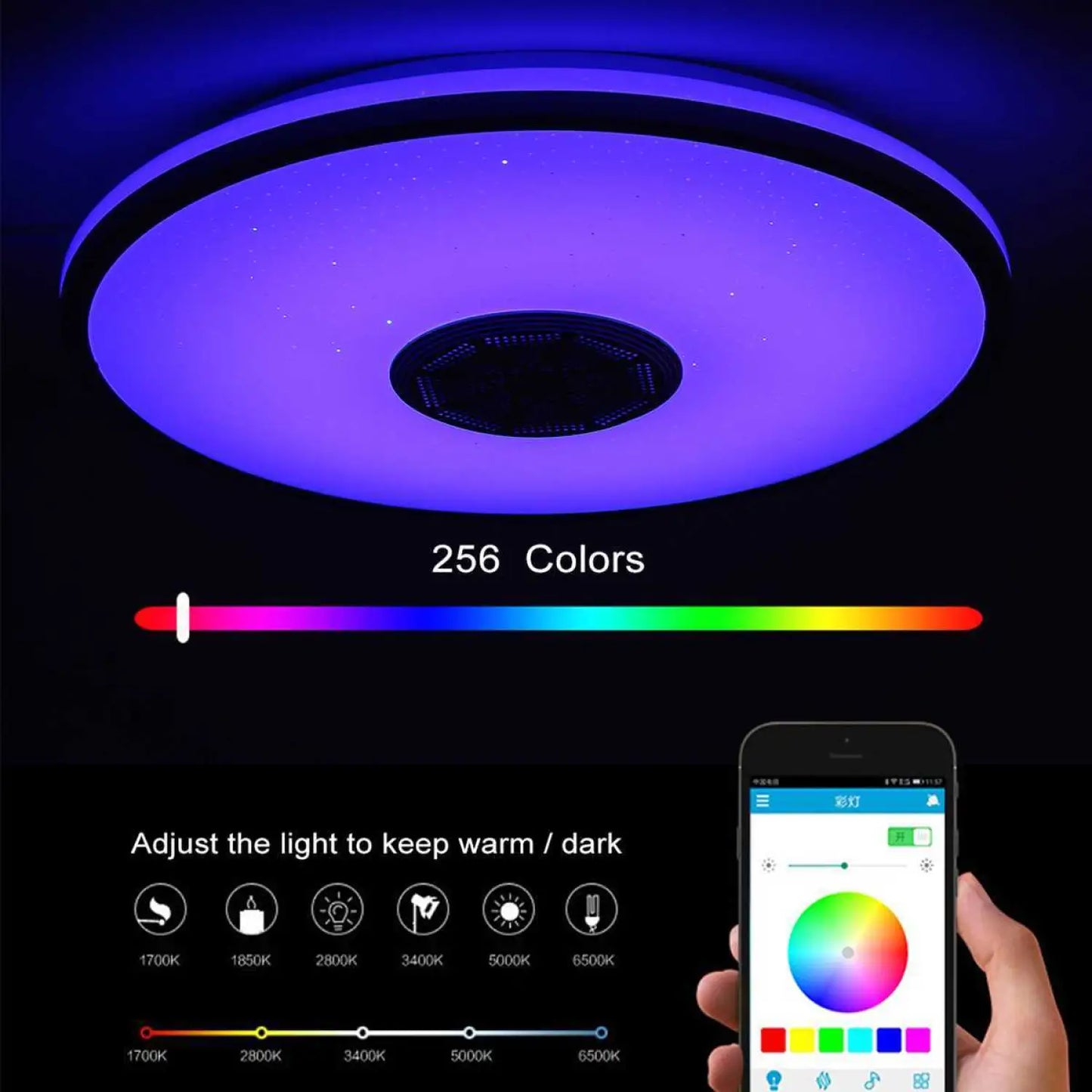 Graffiti WiFi smart Bluetooth ceiling lamp 34cm 12V Hanging Light