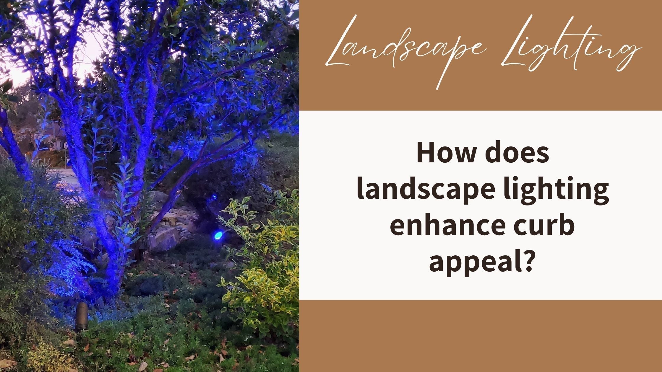 How does landscape lighting enhance curb appeal?