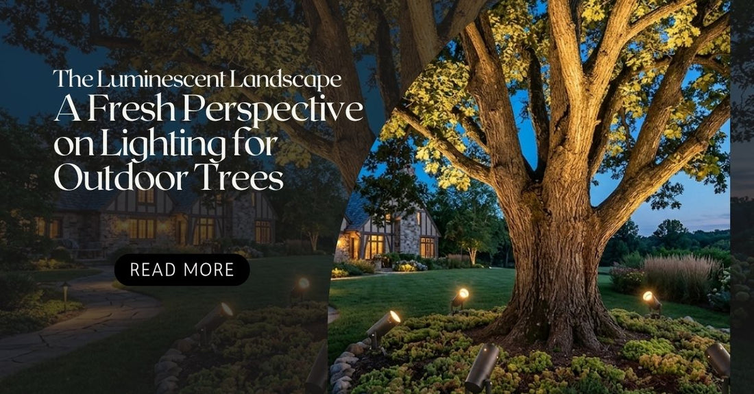 Lighting for outdoor trees