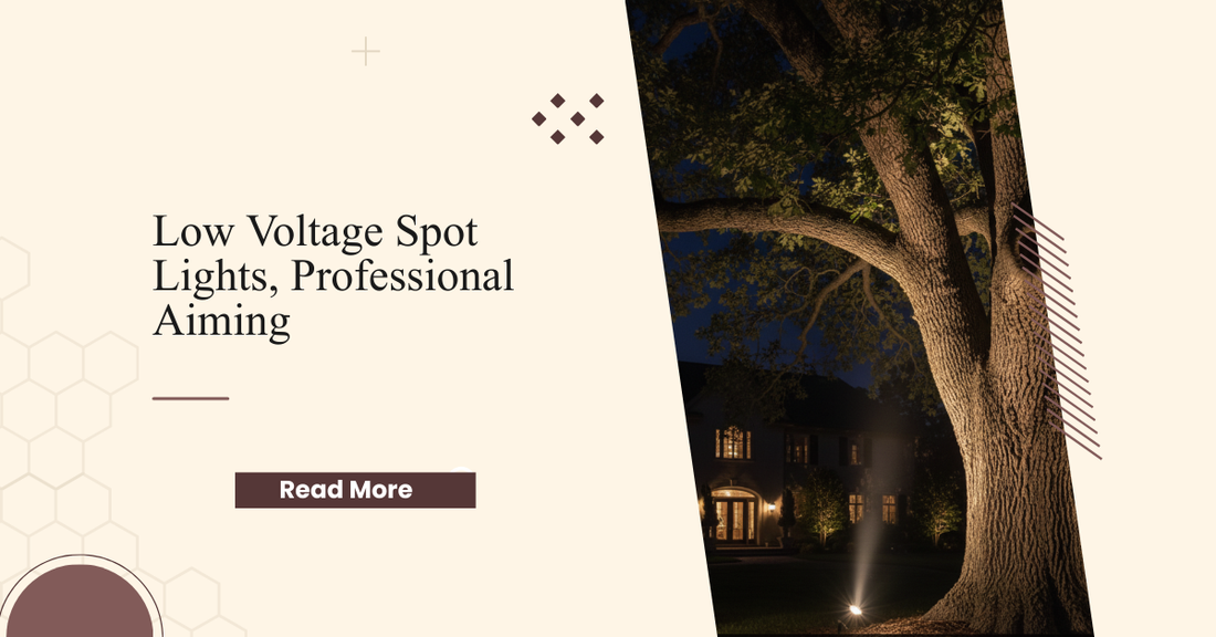 Low Voltage Spot Lights: Beam Angle, Lamp Selection, and Professional Aiming