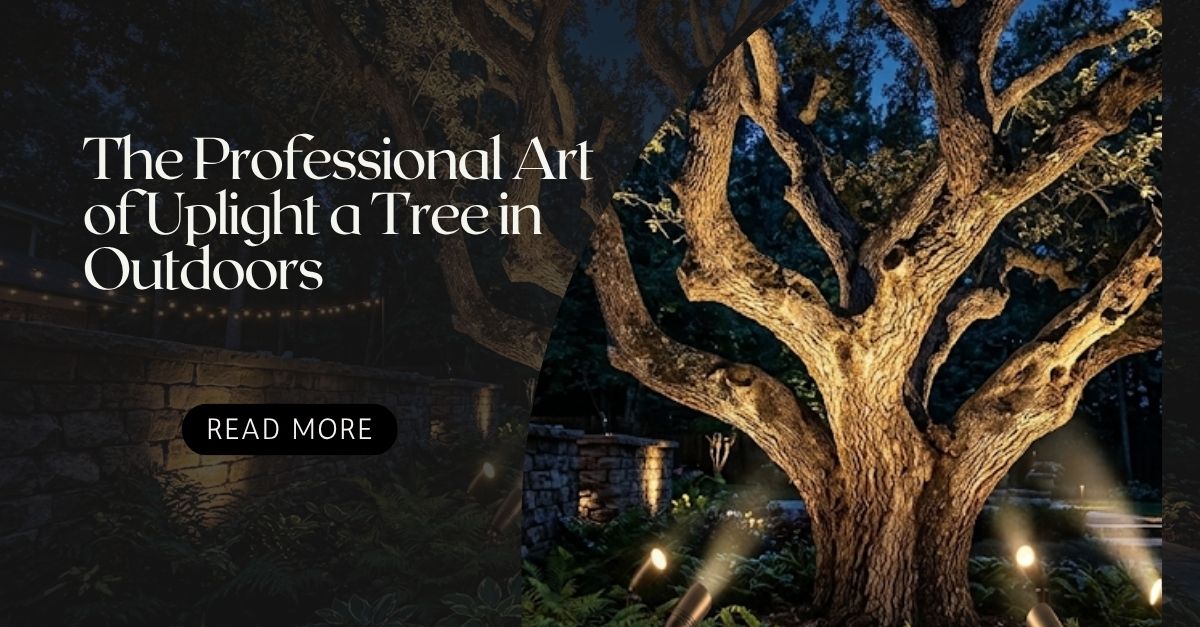 Uplight a tree