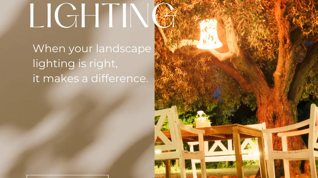 landscape outdoor lighting
