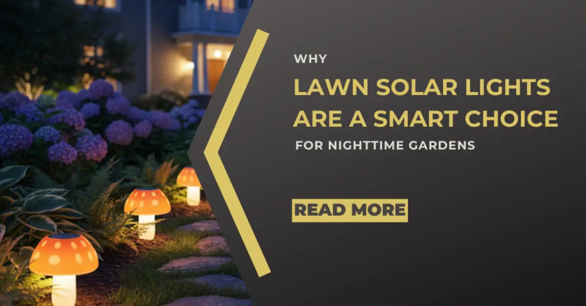 Lawn solar lights