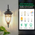 1-Pack Outdoor Wall Lantern with Vintage Design & Bubble Glass & Weatherproof - Wall Lights