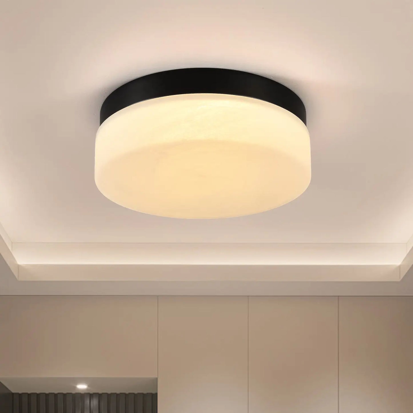 12’’ Ceiling Light LED with Round Design for Bedroom Living Room & Dining - Black - Ceiling Light