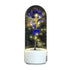2 In 1 Rose Flowers in Creative LED Glass Lamp with Bluetooth for Home Decor - White Base Purple Flower - portable