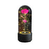 2 In 1 Rose Flowers in Creative LED Glass Lamp with Bluetooth for Home Decor - Black Base Color Flower - portable lights