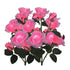 2-Pack Color Changing Solar Lights Path with 14 Rose Flowers for Outdoor