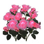 2-Pack Color Changing Solar Lights Path with 14 Rose Flowers for Outdoor