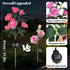 2-Pack Color Changing Solar Lights Path with 14 Rose Flowers for Outdoor