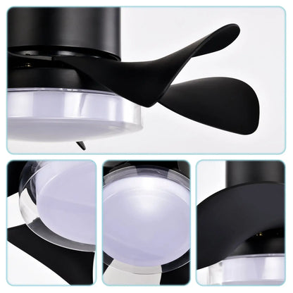 21’’ Matte Black Ceiling Fans with Lights Quiet DC Motor & Remote Black 12V Hanging Light