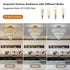 5 Tier Golden Crystal Chandelier Light Ceiling for Modern Interior Design - 12V Hanging Light
