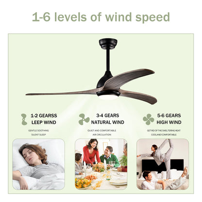 52’’ Ceiling Fan with Light Modern Design Remote and 6 Speed Options Matte Black 12V Hanging Light
