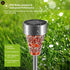 6-Pack Solar Pathway Light Outdoor for Garden & Landscape with Waterproof