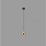 Ball Pendant Light for Living Room with Sleek Modern Design - 1gold disc - Hanging Light
