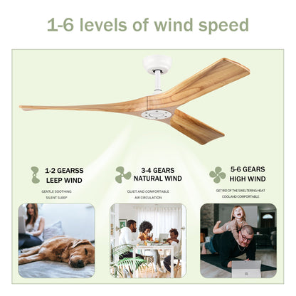 Ceiling Fan With Remote Control No Lights,Modern Reversible DC Motor Indoor 3 Blades Ceiling Fans For Patio Bedroom
