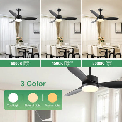 Ceiling Fans Modern with Light Reversible Motor and ABS Blades - Black - Ceiling Fan