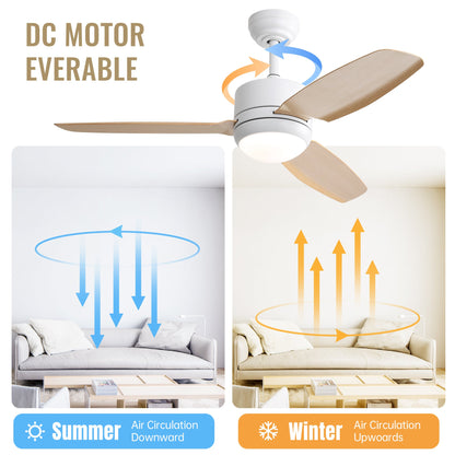 Ceiling Fans with Light with Reversible DC Motor and Adjustable Speed - White - Ceiling Fan