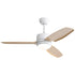 Ceiling Fans with Light with Reversible DC Motor and Adjustable Speed - White - Ceiling Fan