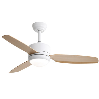 Ceiling Fans with Light with Reversible DC Motor and Adjustable Speed - White - Ceiling Fan