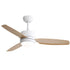 Ceiling Fans with Light with Reversible DC Motor and Adjustable Speed - White - Ceiling Fan
