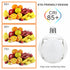 Compact Foldable Ball Light with Football Shape and LED Glow - 12V Hanging Light