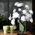 Decorative Flower Lamp with Soft Warm Light for Home Interiors - White Black - Table Lamps