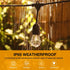 Decorative LED Strip Light for Outdoor with Colorful RGBW S14 Bulbs - Strip Light - Strip and Rope Light
