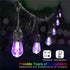 Decorative LED Strip Light for Outdoor with Colorful RGBW S14 Bulbs - Strip Light - Strip and Rope Light