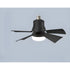 Dimmable Remote Control Ceiling Fan Light for Home & Dormitory - Black / 30W - Ceiling Fan