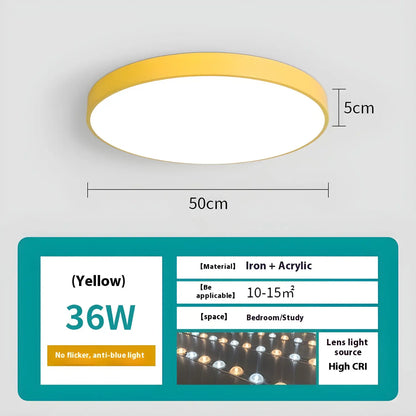 Dimmable Smart Ceiling Lamp with Remote - Bedroom & Living Room LED Light - Ceiling Light Fixtures