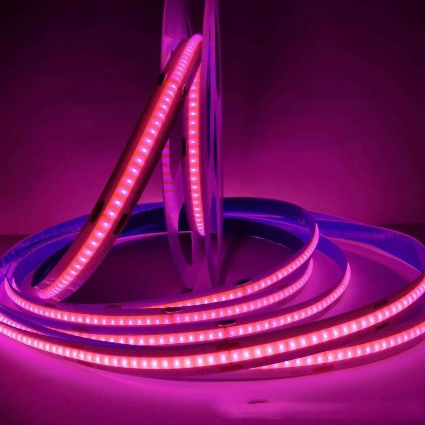 Dimmable Soft LED Strip Lights 12 Volt – No Dark Areas Smooth Glow - Strip and Rope Light