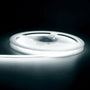 Dimmable Soft LED Strip Lights 12 Volt – No Dark Areas Smooth Glow - 6500K True White / 12V 480 Lamp - Strip and Rope