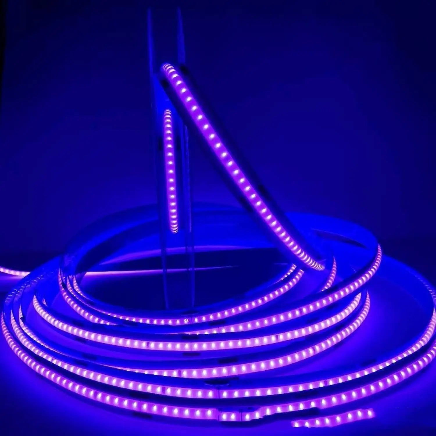 Dimmable Soft LED Strip Lights 12 Volt – No Dark Areas Smooth Glow - Purple light / DC 12V 8wide320D - Strip and Rope