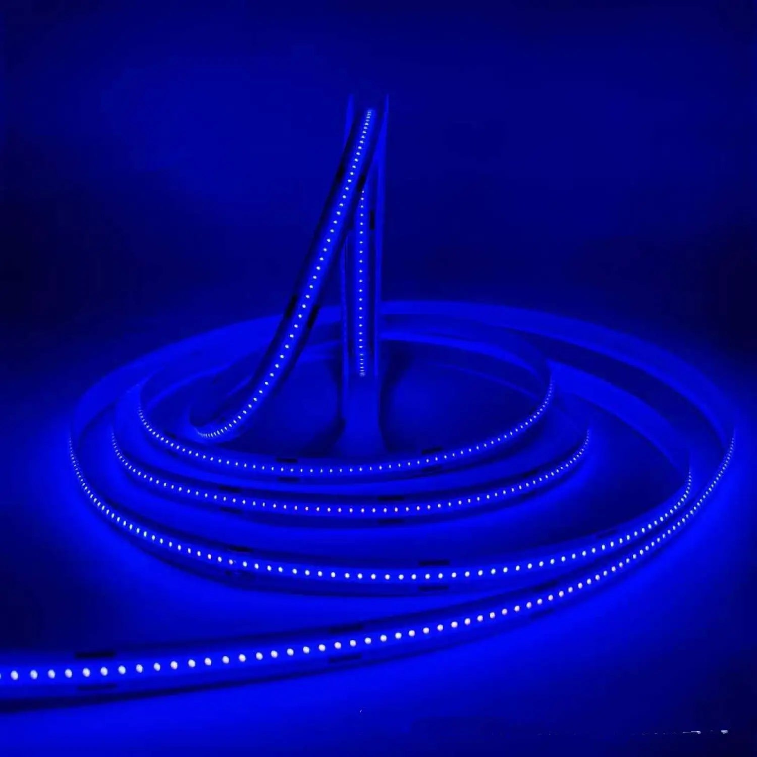 Dimmable Soft LED Strip Lights 12 Volt – No Dark Areas Smooth Glow - Blue light golden light / DC 12V 8wide320D