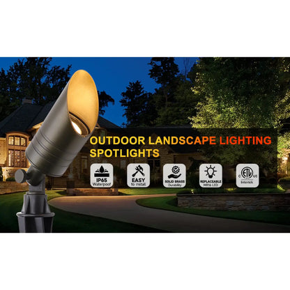 Elegant Brass Outdoor Light Fixtures with Antique Finish - Spot Light Fixture