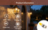 G4 JC LED Bi-Pin Bulb - Dimmable Silicon Light Bulb Types - Dimmer Switch