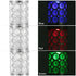 Garden Solar Lamps with RGB Lighting and Stainless Steel Build - Silver - 12V Hanging Light