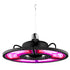 Grow Light LED with Red and Blue Spectrum for Plants - Color1 - Grow light