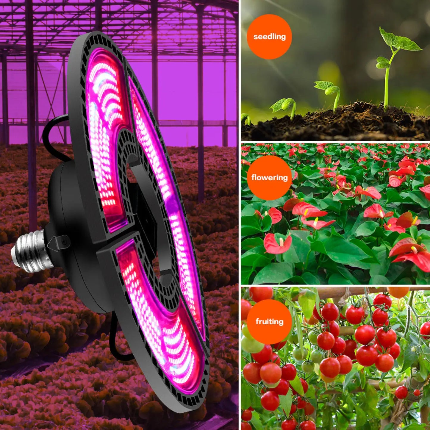 Grow Light LED with Red and Blue Spectrum for Plants - Color1 - Grow light