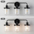 Wall Lights in Modern Black Finish with Glass Shade and E26 Base Black 12V Hanging Light
