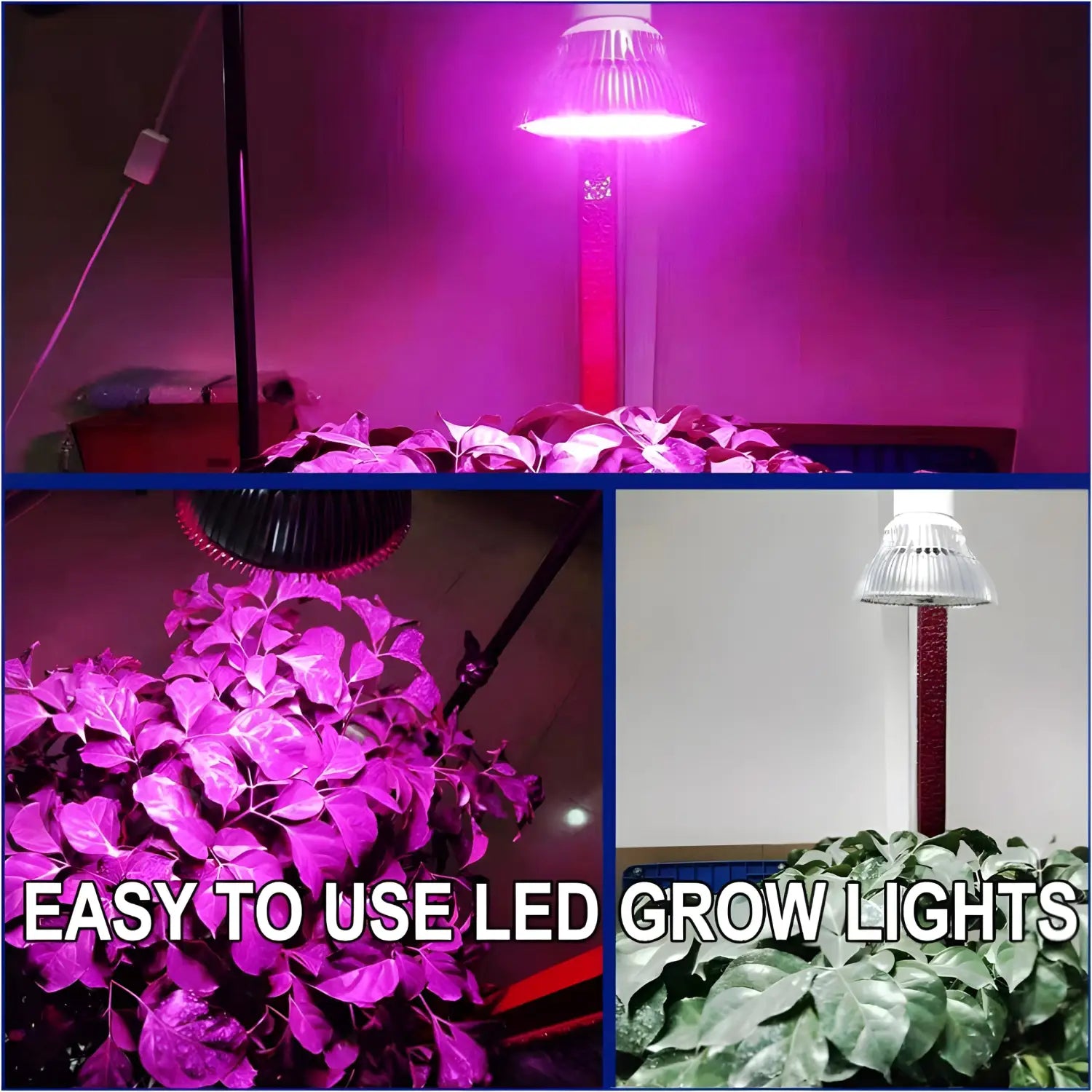 LED Full Spectrum Light for Herb Plants USB Powered - White - Grow light