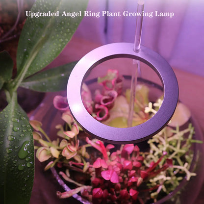 LED Grow Light Full Spectrum Angel Ring USB Lamp for Indoor Plants - Grow light